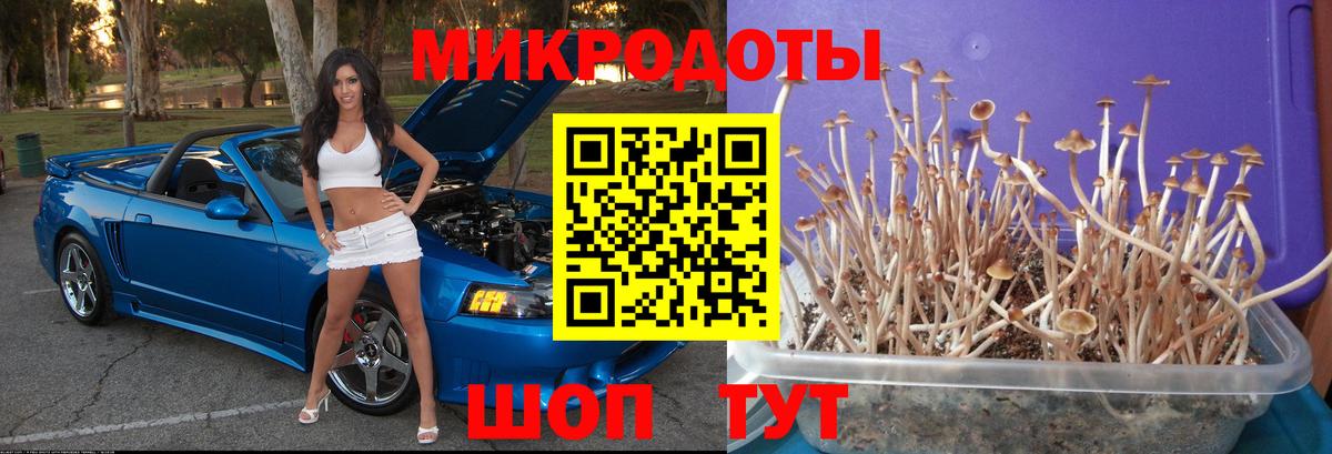 Псилоцибиновые грибы MAGIC MUSHROOMS Армавир